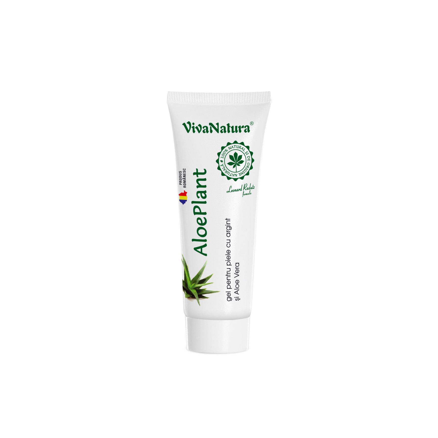 aloe vera pflanze weiß Aloe Vera „Alfonso“ – Aloe-Vera-Pflanze in Gärtnerqualität kaufen main image 1